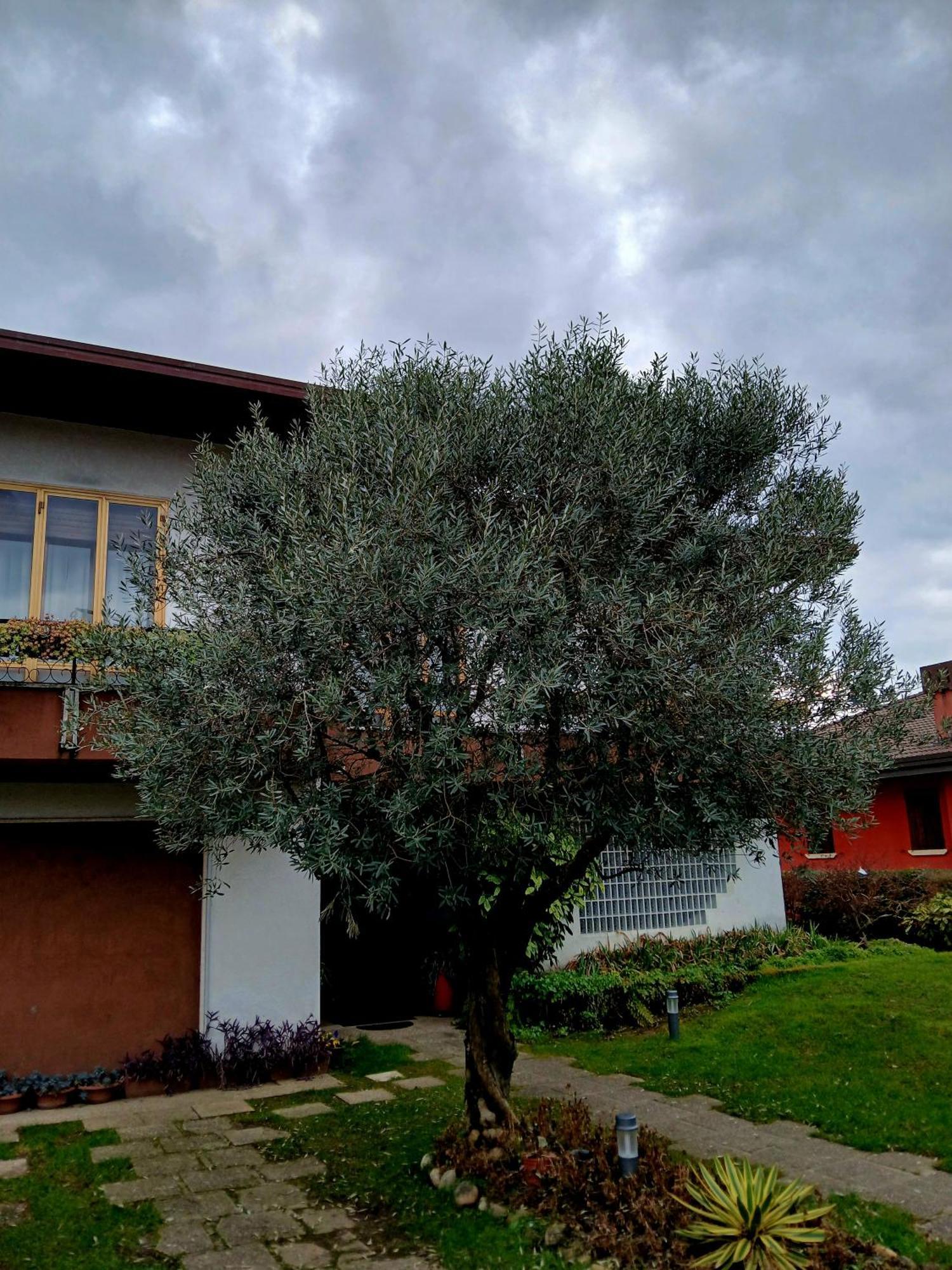 B&B Ponte Marchese カルドーニョ エクステリア 写真